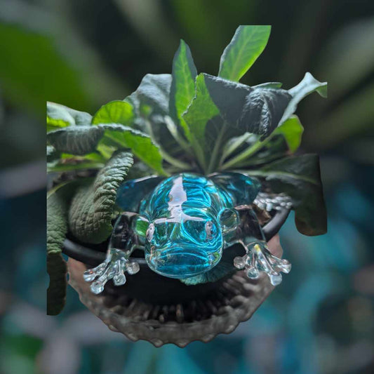 Grenouille Cristalline